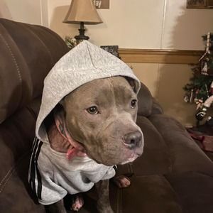 Meet your Posher, Jonni